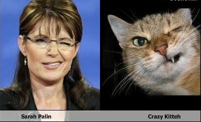 Sarah Palin looks like a cat