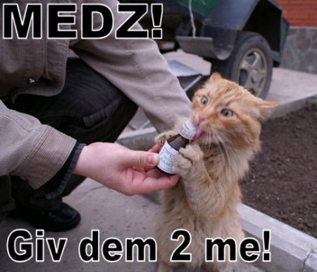 Yet More Lolcats