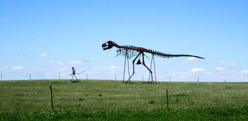 Some funny and WTF images