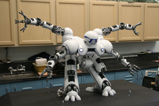 Disaster Relief Robot