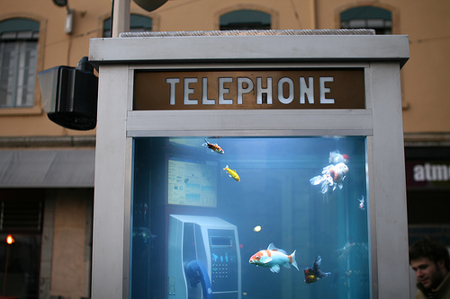 Phone booth transformed into soothing, arty aquarium
