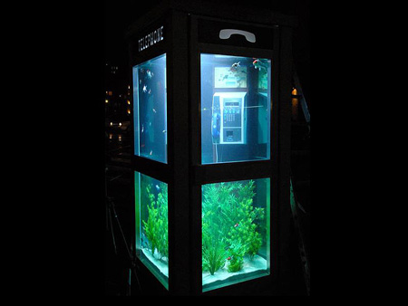Phone booth transformed into soothing, arty aquarium