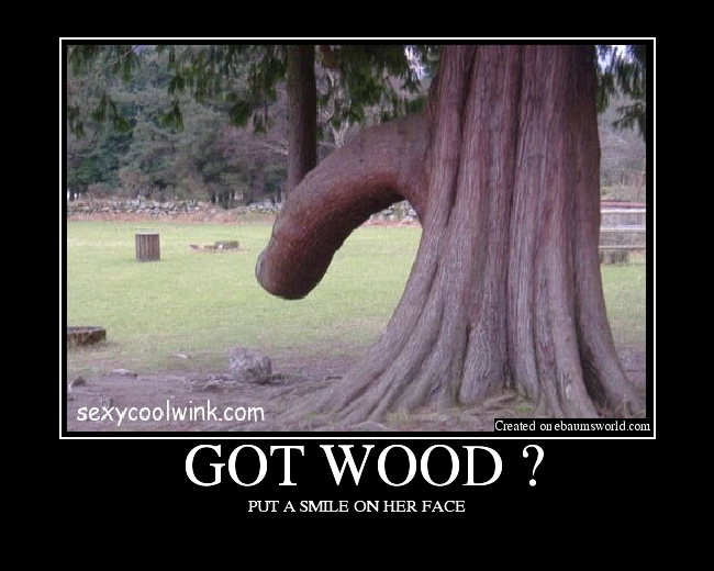 Woody Got Wood