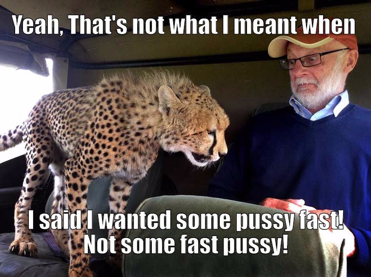 Fast Pussy