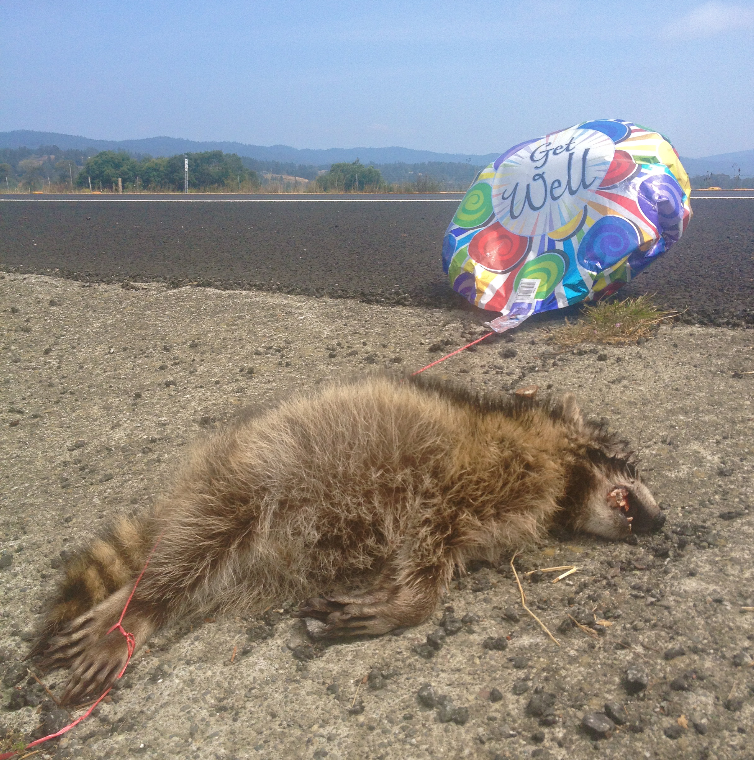 Get Well, Roadkill