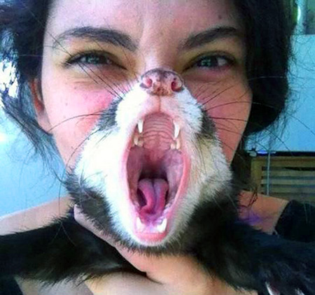 cats with people mouths
