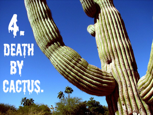 In 1982, two people decided to get a little adventurous and started shooting a huge dessert cactus with a shotgun. It is known that one should not harm plants intentionally because they have this way of getting back at you for what ever you do to them. At first the two friends continued their shooting practice at a small cactus. The poor little plant succumbed to the on slaught. Encouraged, they moved on to a 26 foot tall cacti which was probably a hundred years old. The main gun man, Grundsman, shot of a whole branch of the cactus which fell on him crushing him to his death on the spot. To date this is perhaps the only known instance where a plant seems to have taken revenge