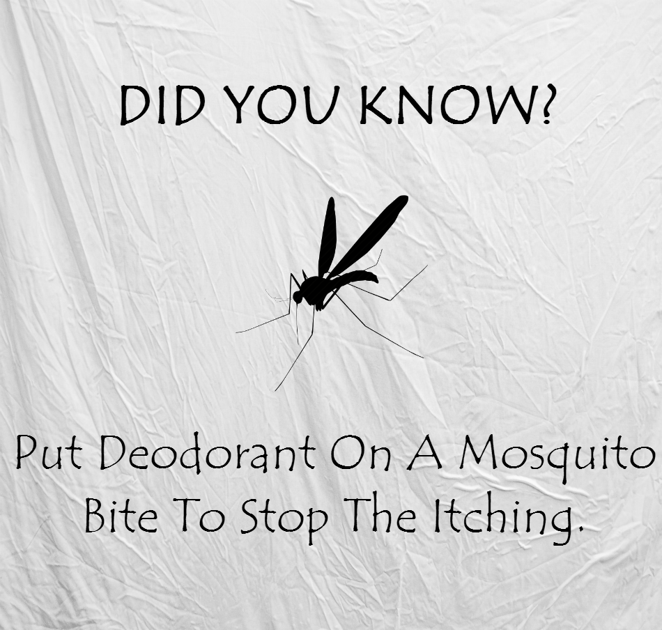Are you camping? Are you having bad luck with mosquitoes? Toothpaste is another trick to take the itch out of mosquito bites. A small amount on the bite can provide hours of relief due to toothpaste's anti-inflammatory properties and ingredients like menthol and baking soda.