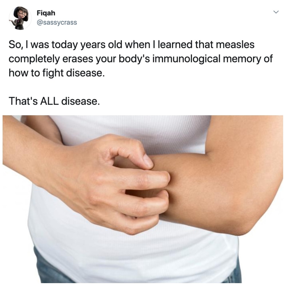 Itch - Fiqah So, I was today years old when I learned that measles completely erases your body's immunological memory of how to fight disease. That's All disease.