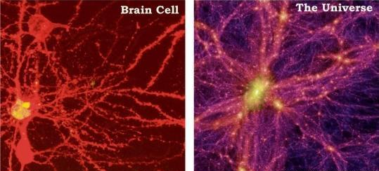 Our universe is just a single cell in the brain of a Titan!