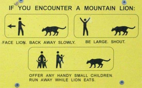 Just remember to carry small children in mountain lion areas. 