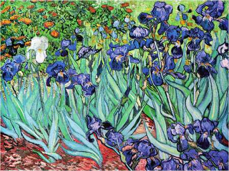10. Irises by Vincent Van Gogh, Worth ($53,900,000)