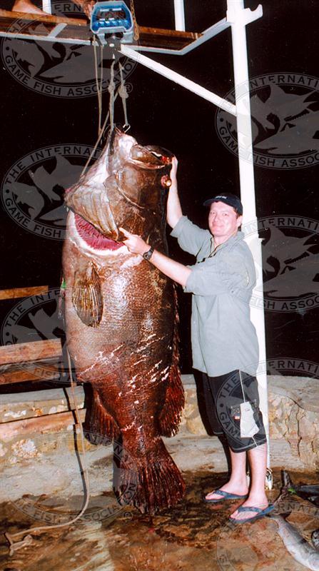 Impressive World Record Fish