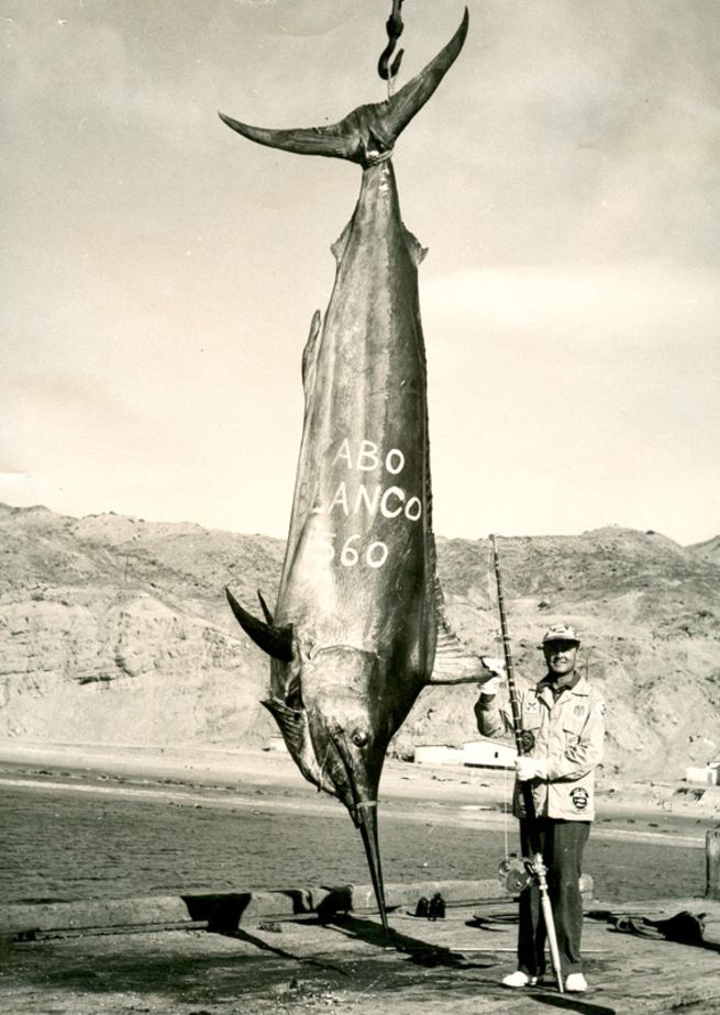 Impressive World Record Fish