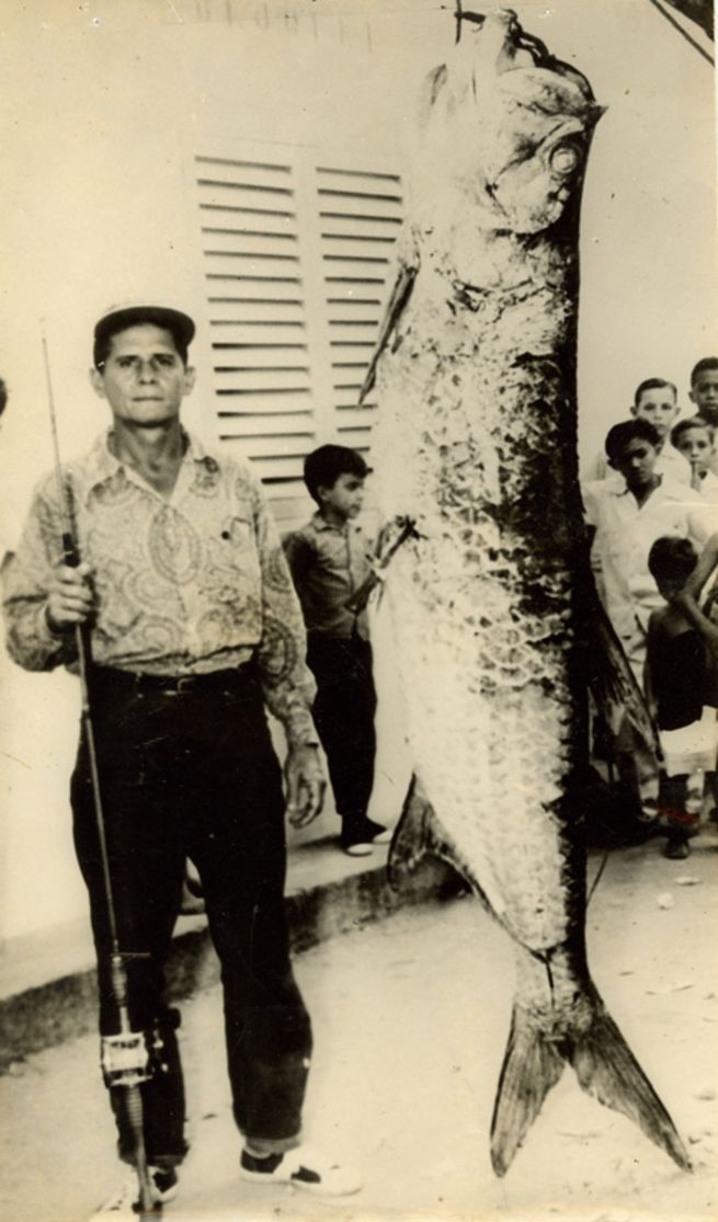 Impressive World Record Fish