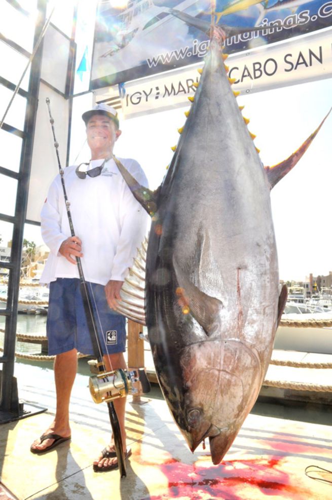 Impressive World Record Fish