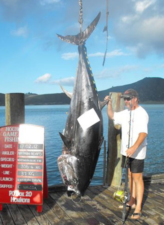 Impressive World Record Fish