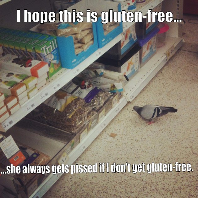 Gluten-free pigeon
