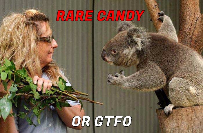 Koala wants rare candy so he can evolve from his ugly Misty.