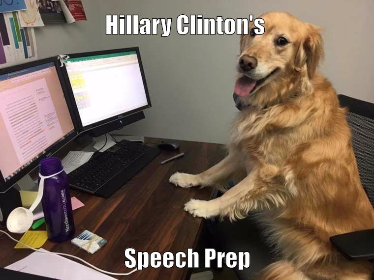 Hillary, Clinton, Election, Erection, Dogs, Speech, Special Education, Email, Anal Beads, Peanutbutter, buttplugs