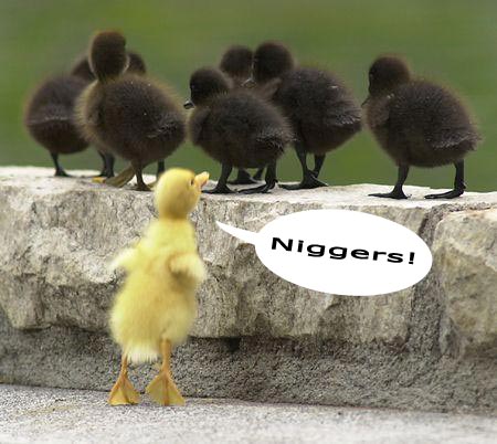 Yes..... this is a little racist , but still funny as hell.