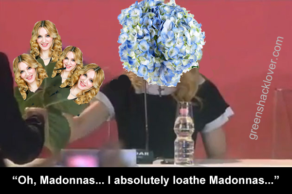 Hydrangea caught on tape dissing fan's gift -- a bouquet of Madonnas! Hyndrangea loathes Madonnas!!