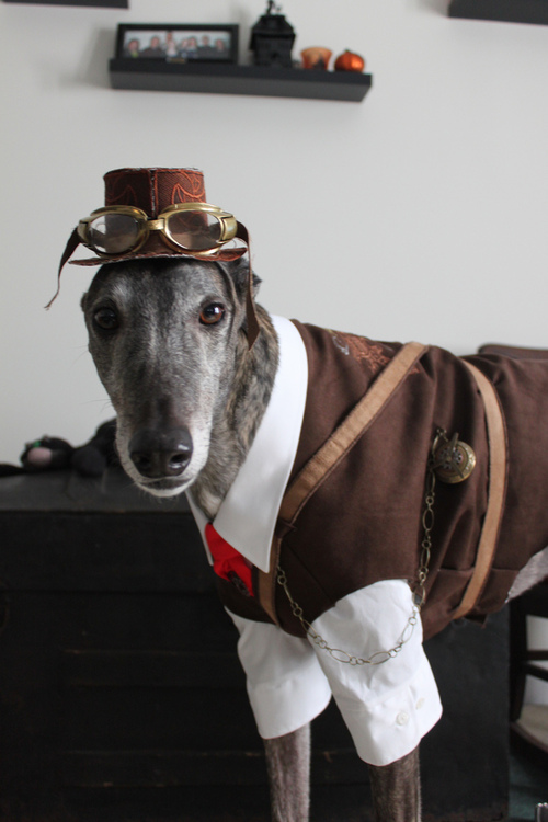 it's fun to dress up