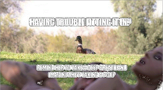 it's helpful duck