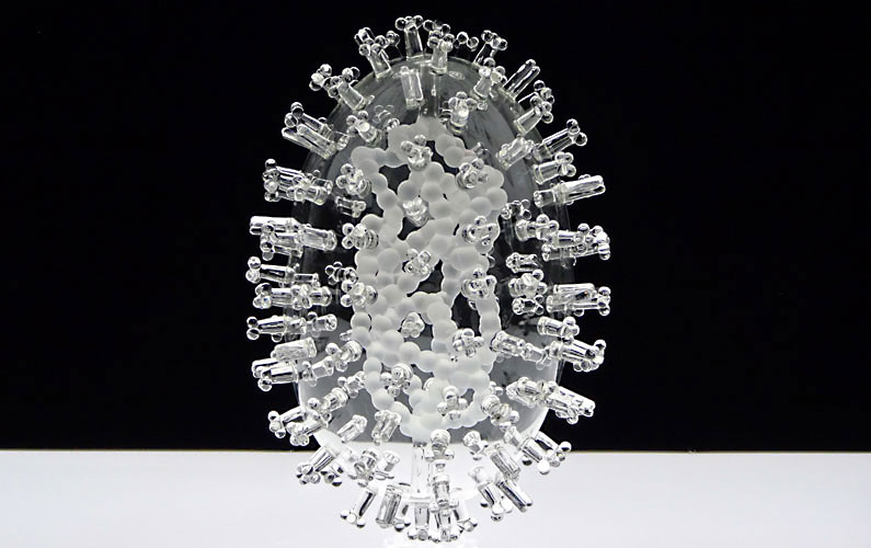 Avian Influenza, commonly known as Bird Flu, refers to influenza caused by viruses adapted to birds.The first version, made in 2005, is one of Jerrams earliest Glass Microbiology artworks. As such it is more abstract than the later 2012 artwork. In 2009, The Mori Museum, Tokyo exhibited this work in an exhibition called Medicine and Art, with works from Damien Hirst, Andy Warhol, Marc Quinn and Leonardo da Vinci