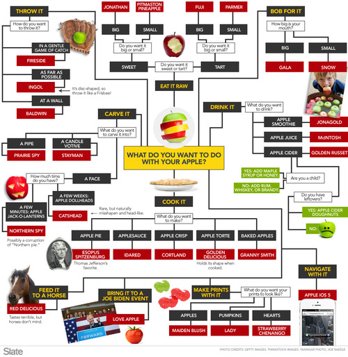 A Collection Of Flow Charts