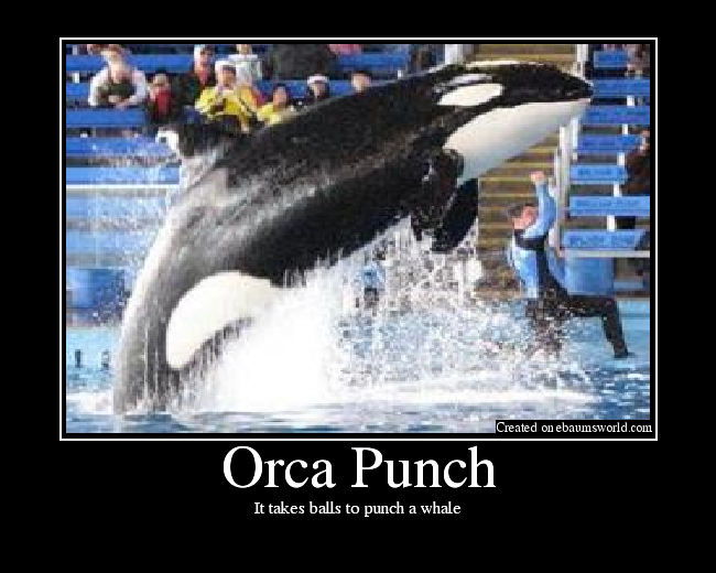 It takes balls to punch a whale