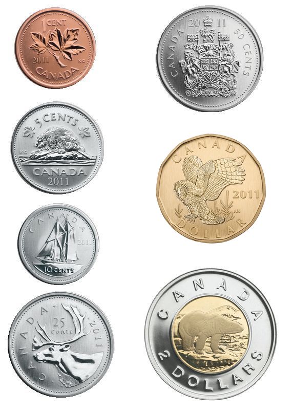 The coins in circulation. The Royal Canadian Mint only produces an average of 150,000 of the half-dollars yearly, so it's very rare to come by.