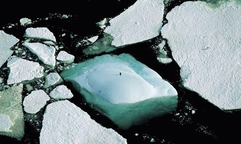 Random pics from here and there