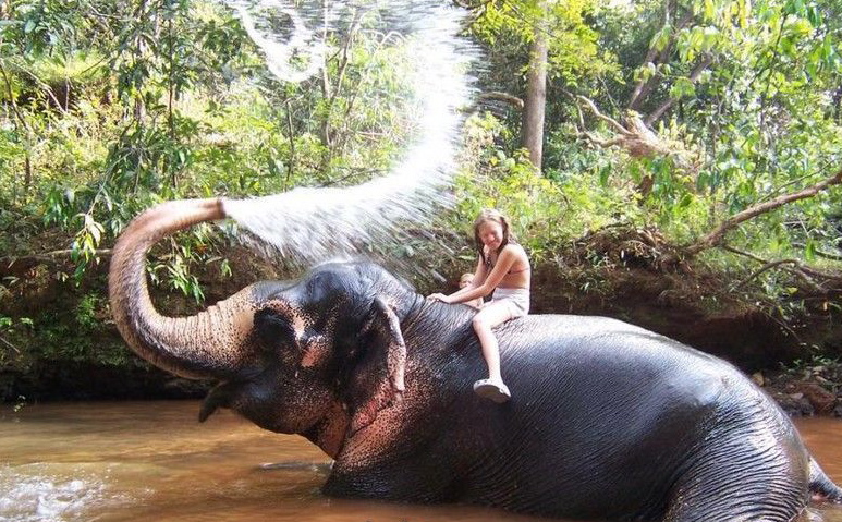 Random pics from here and there