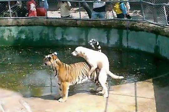 Random pics from here and there