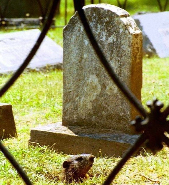 Random pics from here and there