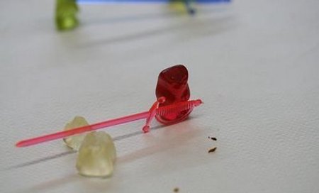 Gummi Bear Serial Killer