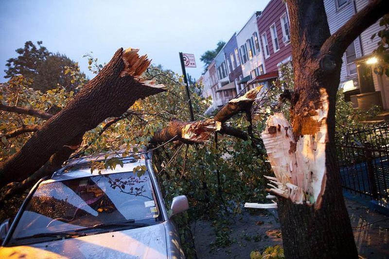 Photos of recent NYC tornado