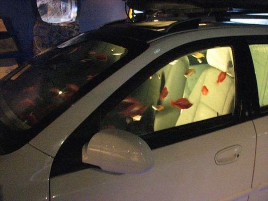 Chevy Aquarium Car