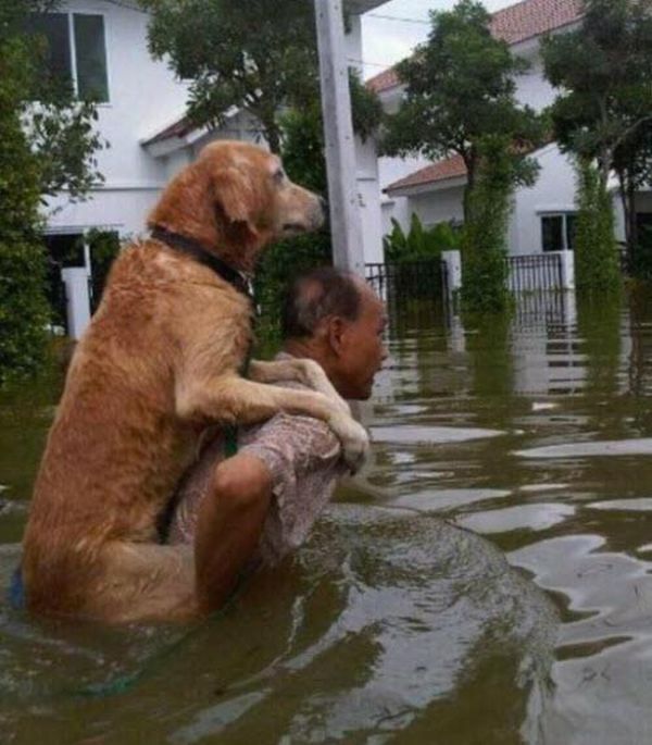 Feel Good Friday:  People Being Kind To Animals