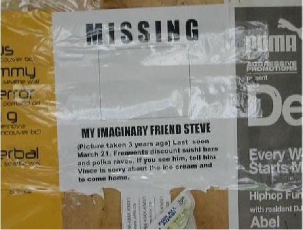 Help find steve
