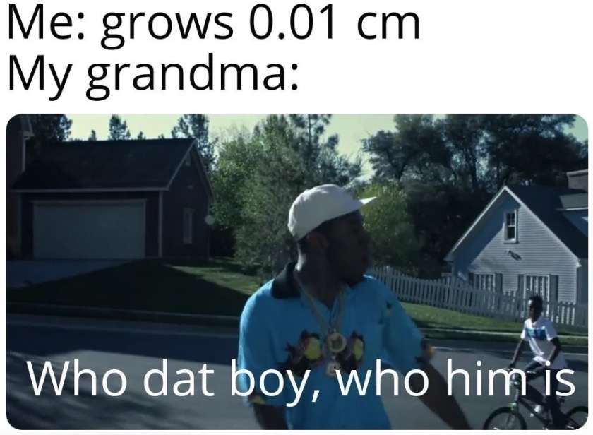 dat boy meme - Me grows 0.01 cm My grandma Who dat boy, who him is