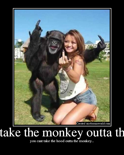 you cant take the hood outta the monkey...
