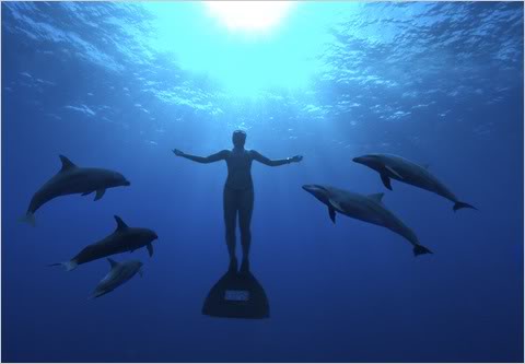 Freediving is awesome.