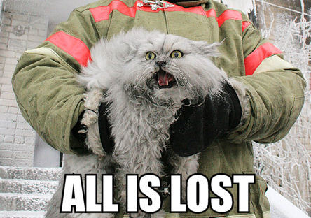 all is lost cat meme - All Is Lost