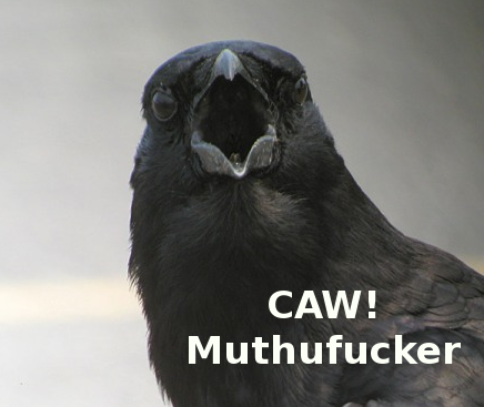 beak - Caw! Muthufucker