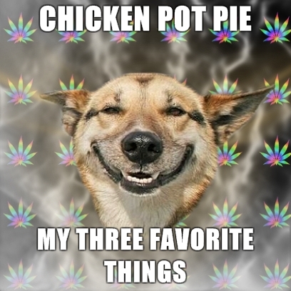 cachorro doidao meme - Chicken Pot Pie V N Uodite My Three Favorite Nl Things Un