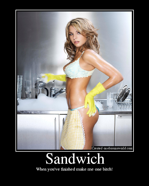 Remember When Demotivational posters were cool?