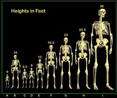 biblical giants - Heights in Feet A B C D E F