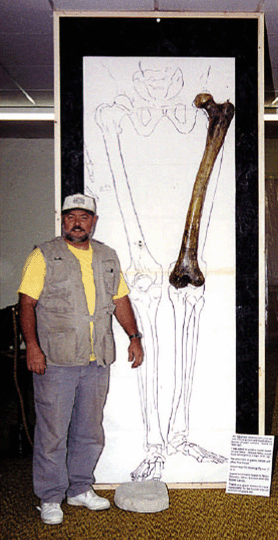 giant femur bone